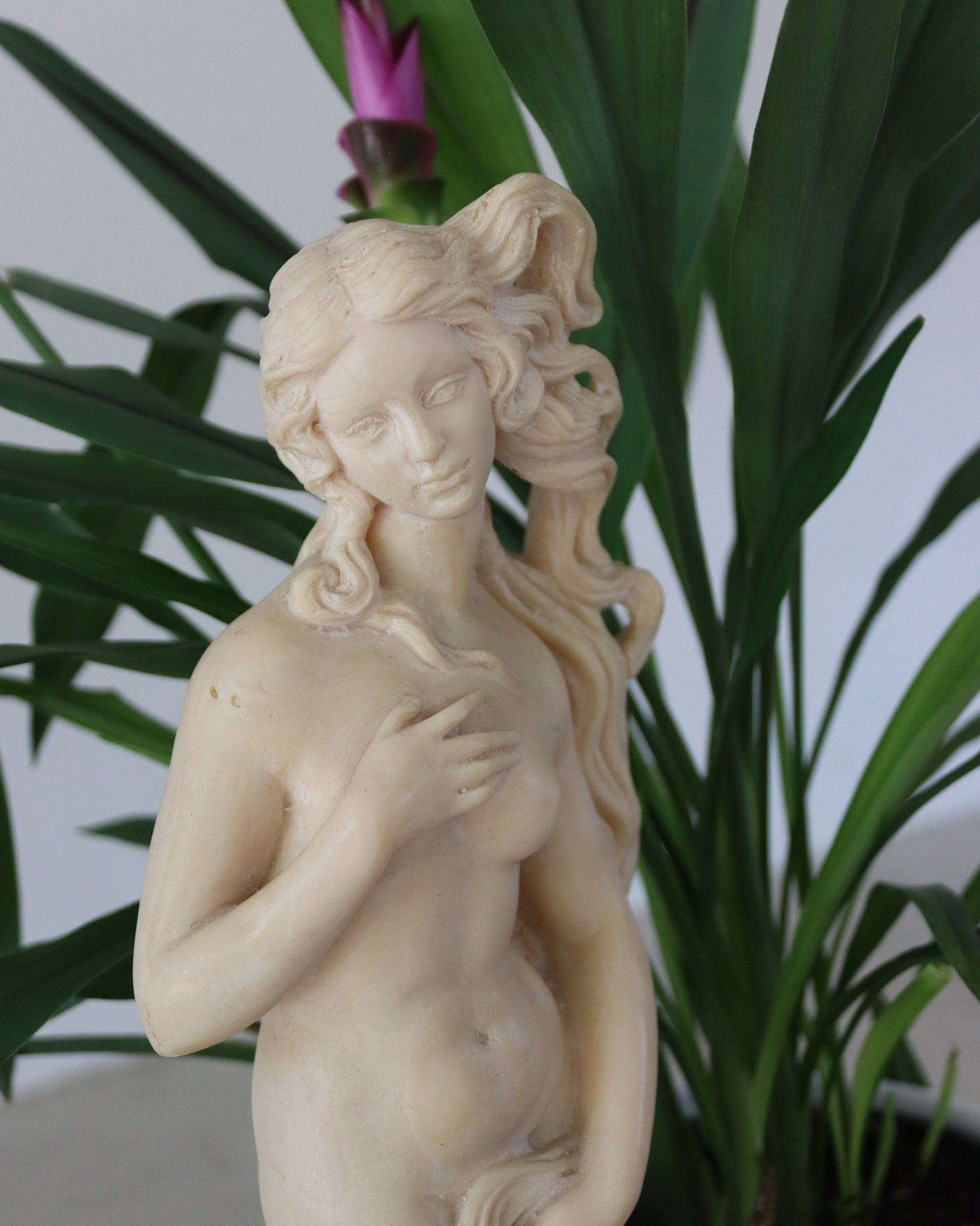 Vintage Birth Of Venus Statue